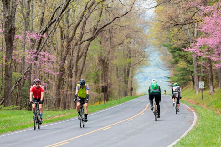 Bike travel in National Parks: Skyline Drive is quieter than usual for Ride the Drive, Shenandoah's 1st car-free day. 